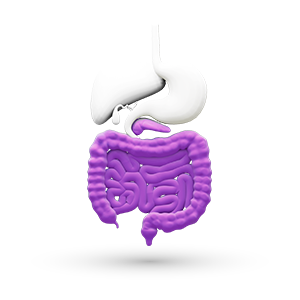 Selaa gastroenterologia -terapialueeseen liittyviä materiaaleja, webinaareja ja tapahtumia.