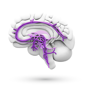 Selaa psykiatria-terapialueeseen liittyviä materiaaleja, webinaareja ja tapahtumia.